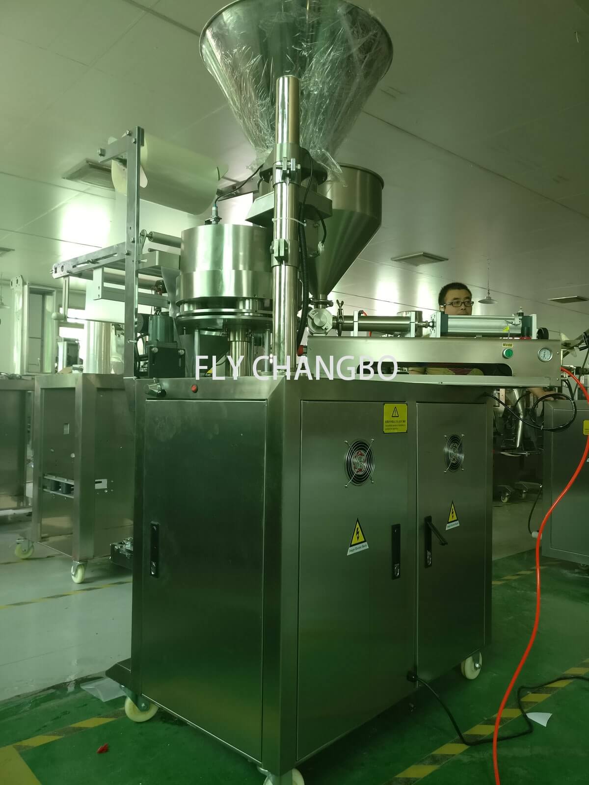 Automatic Paste/ Granule Pouch Packaging Machine